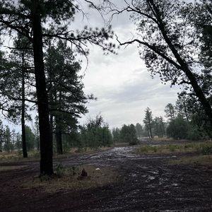 Meet your Posher, Blake